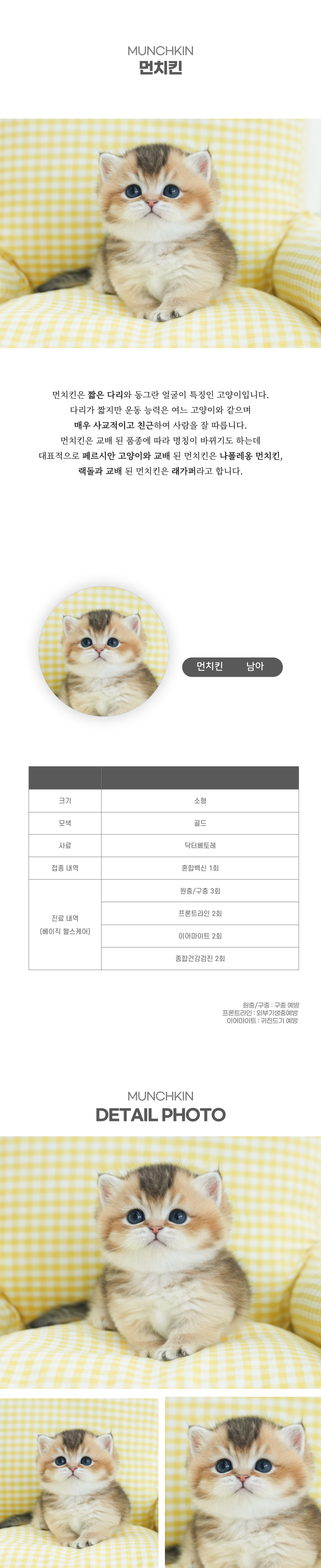 먼치킨_상세이미지_2